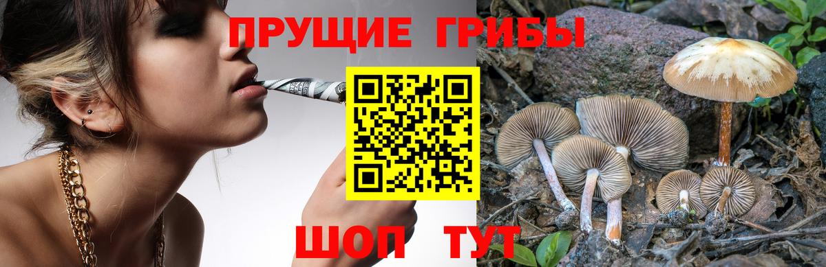 Галлюциногенные грибы Psilocybe  Вход с VPN  Мыски  Галлюциногенные грибы мицелий 